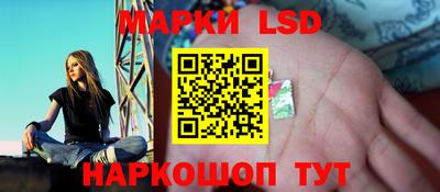 тгк Новозыбков