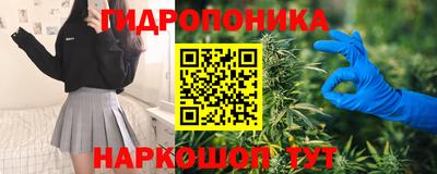 тгк Новозыбков