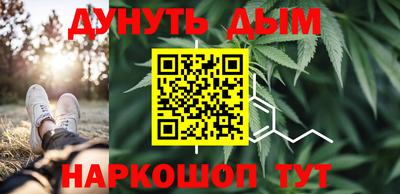 тгк Новозыбков