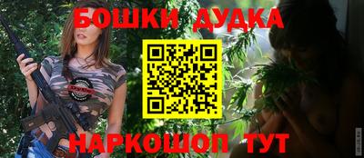 тгк Новозыбков